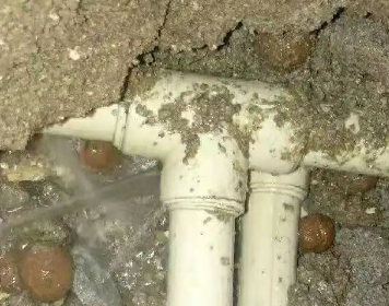 普兰店测漏水多少钱