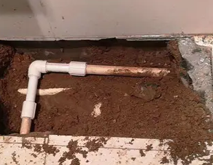 普兰店测漏水哪家好