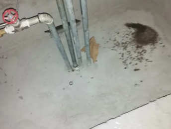 普兰店卫生间测漏水价格明细