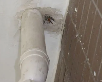 普兰店漏水检测哪家好